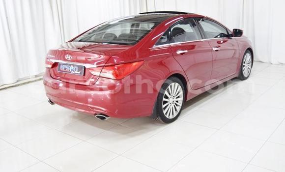 Acheter Occasion Voiture Hyundai Sonata Autre à Butha–Buthe, Thaba-Tseka Acheter Occasion Voiture Hyundai Sonata Autre à Butha–Buthe, Thaba-Tseka