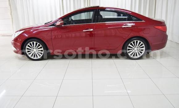 Acheter Occasion Voiture Hyundai Sonata Autre à Butha–Buthe, Thaba-Tseka Acheter Occasion Voiture Hyundai Sonata Autre à Butha–Buthe, Thaba-Tseka