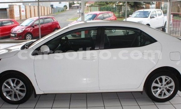 اشتري مستعمل Toyota Corolla White سيارة في Butha–Buthe في Thaba-Tseka اشتري مستعمل Toyota Corolla White سيارة في Butha–Buthe في Thaba-Tseka