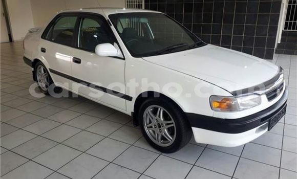 Sayi Na hannu Toyota Corolla White Mota in Butha–Buthe a Thaba-Tseka Sayi Na hannu Toyota Corolla White Mota in Butha–Buthe a Thaba-Tseka