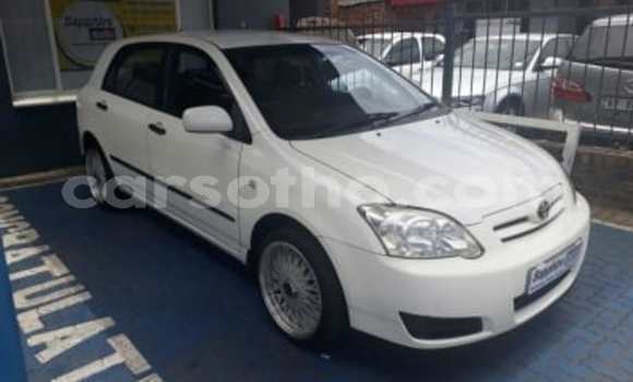 Buy Used Toyota Runx White Car in Maseru in Maseru Buy Used Toyota Runx White Car in Maseru in Maseru