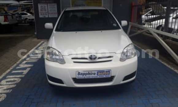 Buy Used Toyota Runx White Car in Maseru in Maseru Buy Used Toyota Runx White Car in Maseru in Maseru