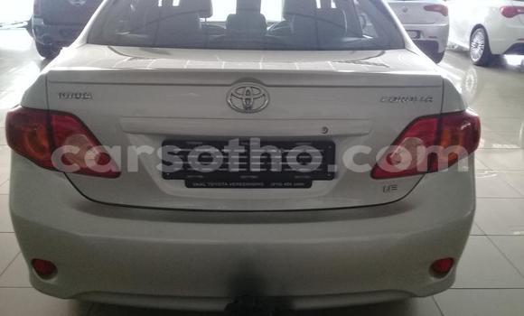اشتري مستعمل Toyota Corolla Silver سيارة في Maseru في Maseru اشتري مستعمل Toyota Corolla Silver سيارة في Maseru في Maseru
