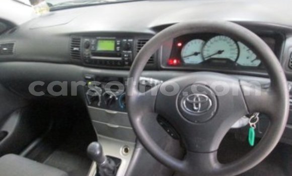 Buy Used Toyota Runx White Car in Maseru in Maseru Buy Used Toyota Runx White Car in Maseru in Maseru