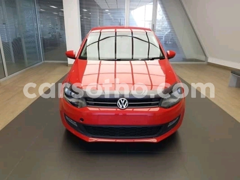 Big with watermark big with watermark fb img 15513641058383226 1 