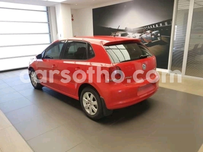 Big with watermark big with watermark fb img 15513640973437245 1 