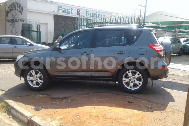 Big with watermark rav4
