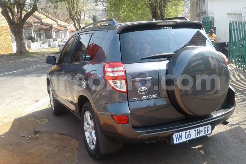 Big with watermark rav5