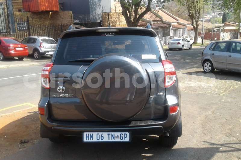 Big with watermark rav6