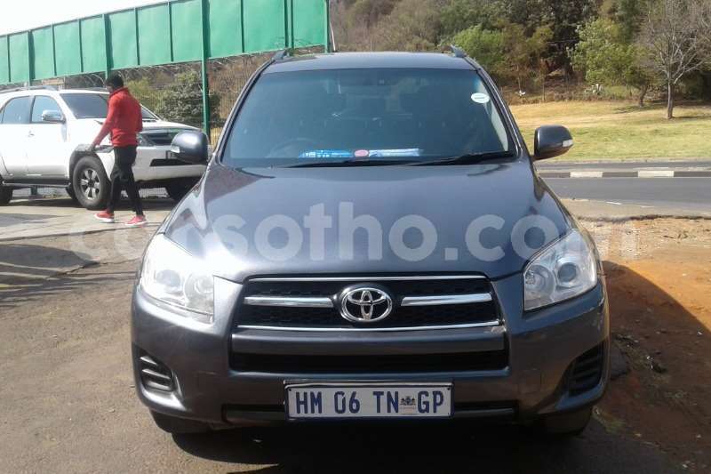 Big with watermark rav1