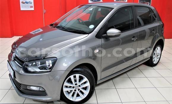 Buy Used Volkswagen Polo Silver Car in Hlotse in Leribe Buy Used Volkswagen Polo Silver Car in Hlotse in Leribe
