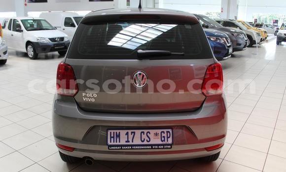 Buy Used Volkswagen Polo Silver Car in Hlotse in Leribe Buy Used Volkswagen Polo Silver Car in Hlotse in Leribe