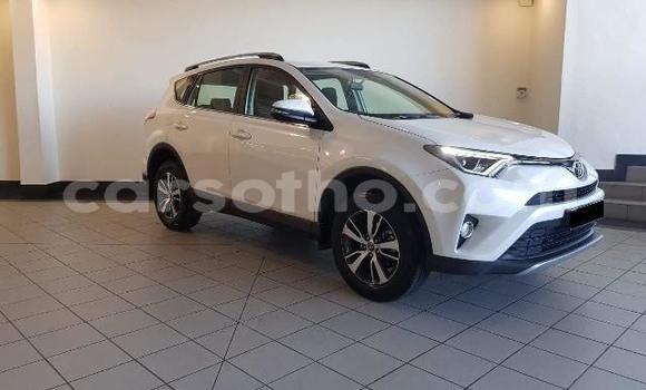 اشتري مستعمل Toyota RAV4 White سيارة في Maputsoa في Leribe اشتري مستعمل Toyota RAV4 White سيارة في Maputsoa في Leribe