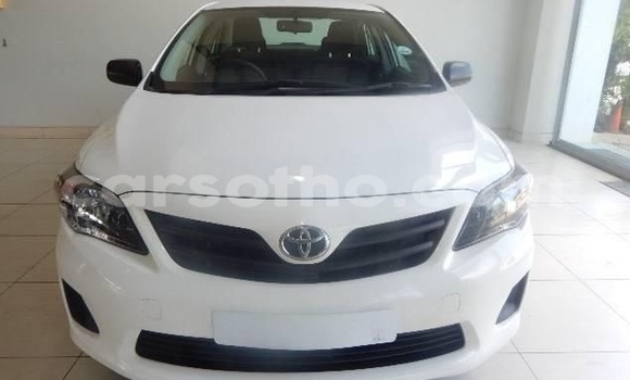 Buy Used Toyota Corolla White Car in Maseru in Maseru Buy Used Toyota Corolla White Car in Maseru in Maseru