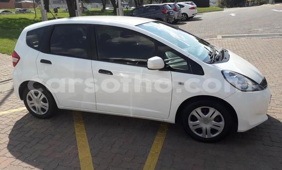 Buy Used Honda Jazz White Car in Maputsoa in Leribe Buy Used Honda Jazz White Car in Maputsoa in Leribe