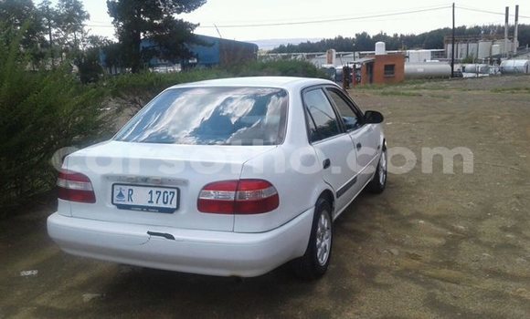 Buy Used Toyota Corolla White Car in Maseru in Maseru Buy Used Toyota Corolla White Car in Maseru in Maseru