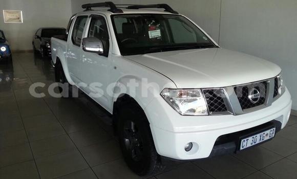 Buy Used Nissan Navara White Car in Maseru in Maseru Buy Used Nissan Navara White Car in Maseru in Maseru
