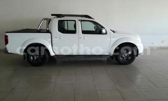 Buy Used Nissan Navara White Car in Maseru in Maseru Buy Used Nissan Navara White Car in Maseru in Maseru