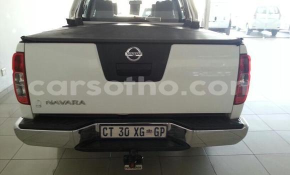 Buy Used Nissan Navara White Car in Maseru in Maseru Buy Used Nissan Navara White Car in Maseru in Maseru