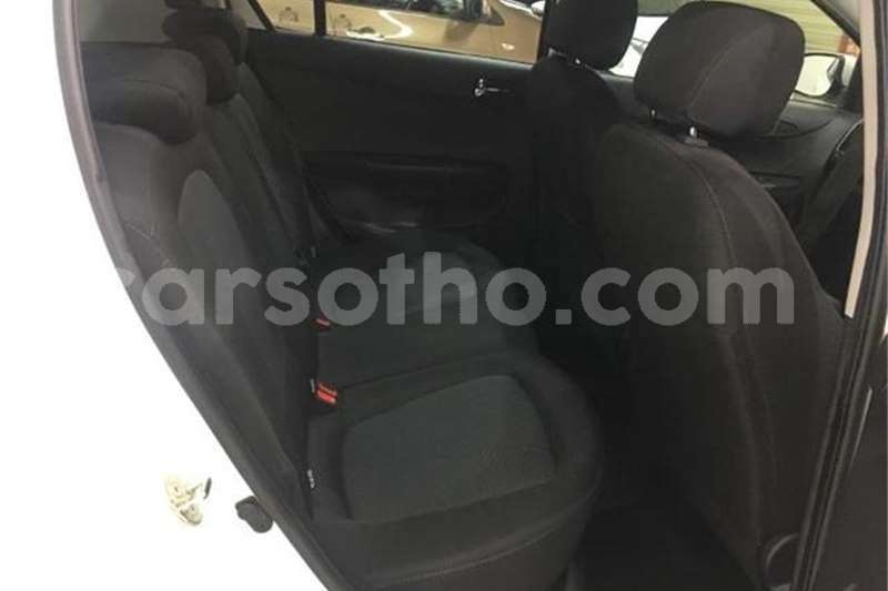 Big with watermark 11