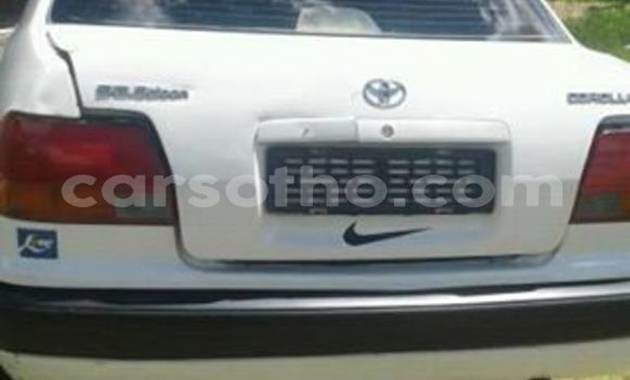 Buy Used Toyota Corolla White Car in Maseru in Maseru Buy Used Toyota Corolla White Car in Maseru in Maseru