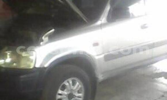 Buy Used Honda CR-V Silver Car in Maseru in Maseru Buy Used Honda CR-V Silver Car in Maseru in Maseru