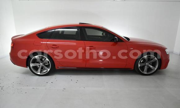 اشتري مستعمل Audi A5 Red سيارة في Butha Buthe في Butha-Buthe اشتري مستعمل Audi A5 Red سيارة في Butha Buthe في Butha-Buthe