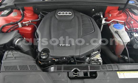 اشتري مستعمل Audi A5 Red سيارة في Butha Buthe في Butha-Buthe اشتري مستعمل Audi A5 Red سيارة في Butha Buthe في Butha-Buthe