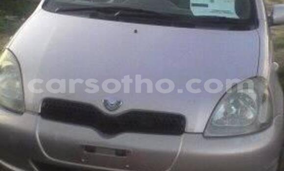 Acheter Occasion Voiture Toyota Vitz Autre à Maseru, Maseru Acheter Occasion Voiture Toyota Vitz Autre à Maseru, Maseru