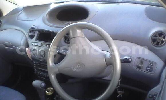 Acheter Occasion Voiture Toyota Vitz Autre à Maseru, Maseru Acheter Occasion Voiture Toyota Vitz Autre à Maseru, Maseru