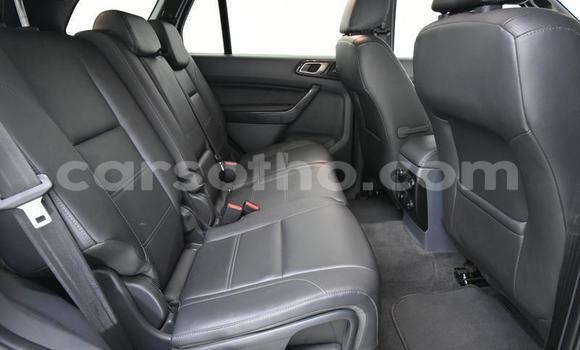 اشتري مستعمل Ford Everest White سيارة في Maseru في Maseru اشتري مستعمل Ford Everest White سيارة في Maseru في Maseru