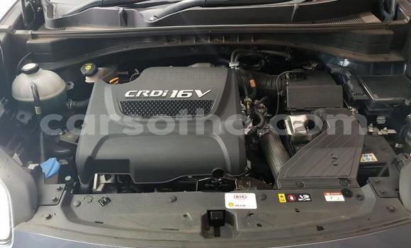 اشتري مستعمل Kia Sportage Blue سيارة في Butha Buthe في Butha-Buthe اشتري مستعمل Kia Sportage Blue سيارة في Butha Buthe في Butha-Buthe
