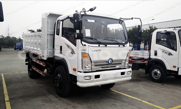 Medium with watermark 4x2 mini cdw dump truck camion howo tipper truck price for sale 2 