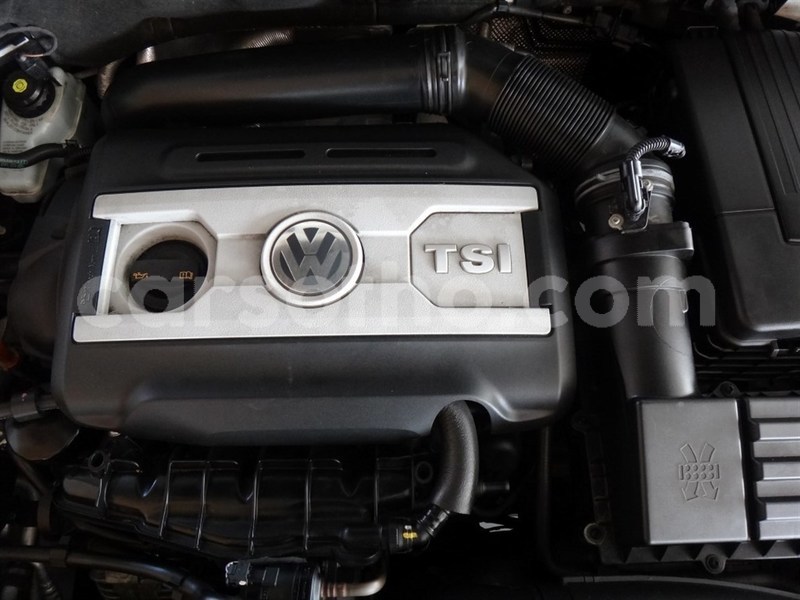 Big with watermark nmb14