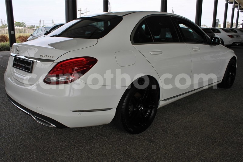 Big with watermark vv6