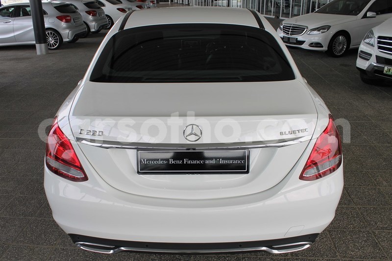 Big with watermark vv5