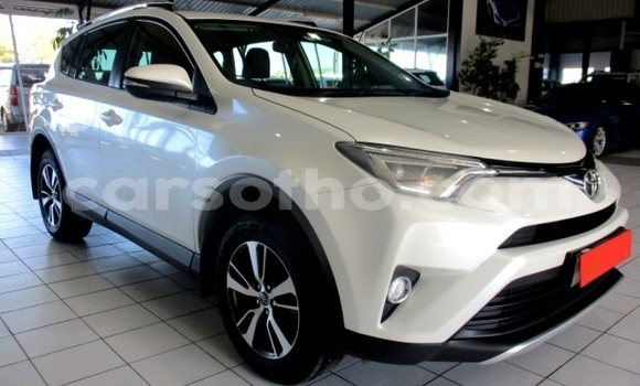 Buy Used Toyota RAV4 White Car in Maseru in Maseru Buy Used Toyota RAV4 White Car in Maseru in Maseru