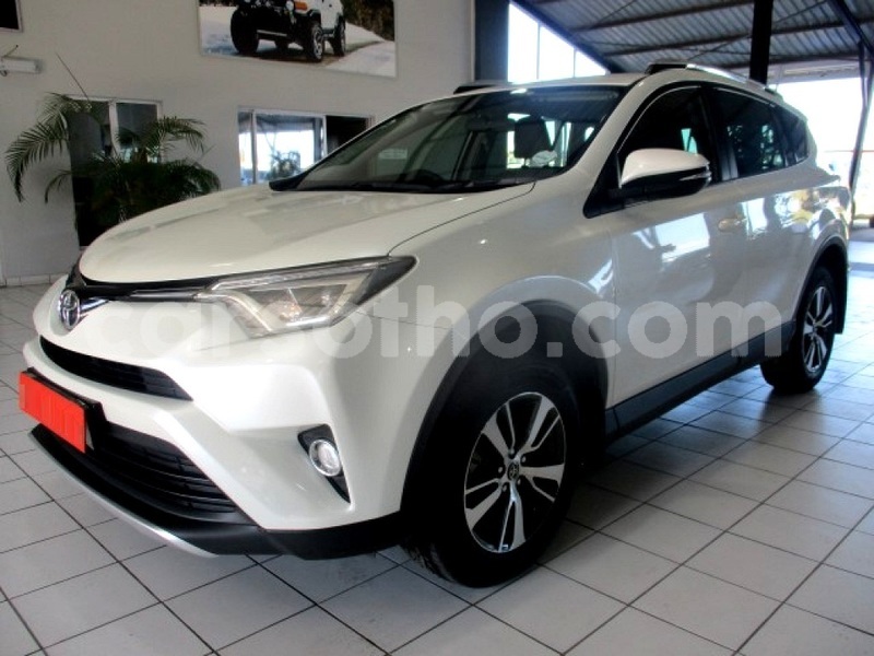 Big with watermark 40