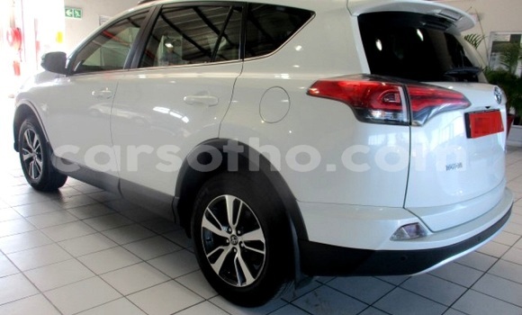 Buy Used Toyota RAV4 White Car in Maseru in Maseru Buy Used Toyota RAV4 White Car in Maseru in Maseru