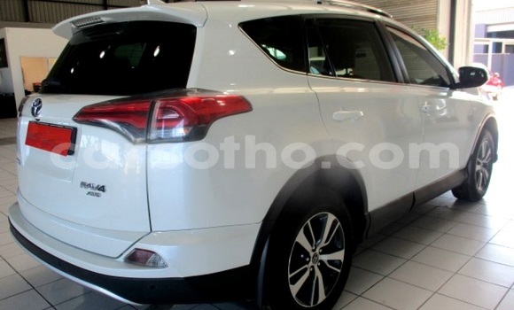 Buy Used Toyota RAV4 White Car in Maseru in Maseru Buy Used Toyota RAV4 White Car in Maseru in Maseru