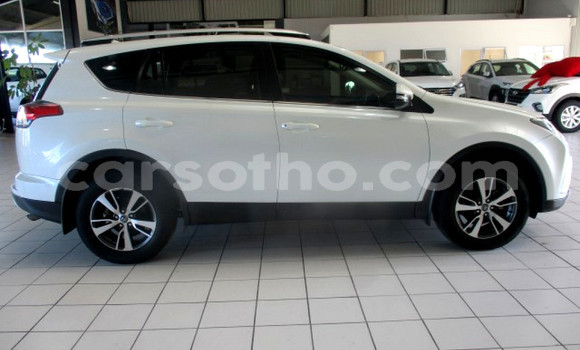 Buy Used Toyota RAV4 White Car in Maseru in Maseru Buy Used Toyota RAV4 White Car in Maseru in Maseru