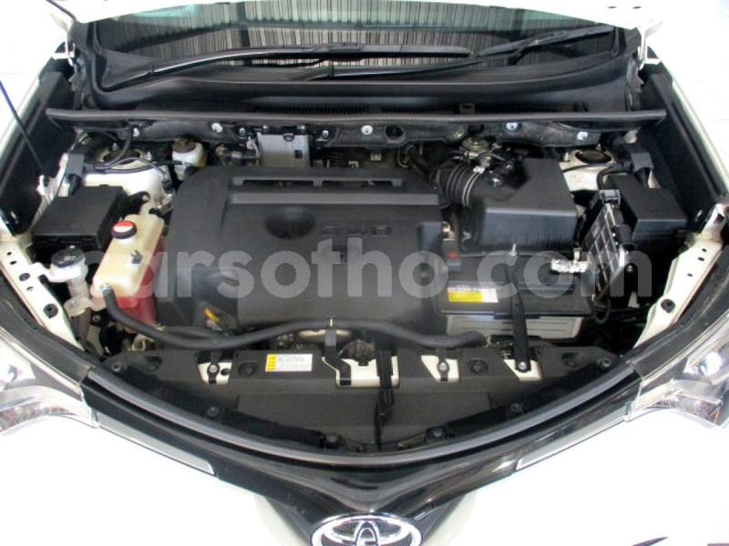 Big with watermark 50