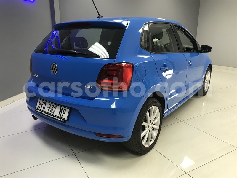 Big with watermark ppolo3