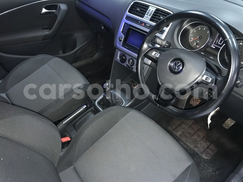 Big with watermark ppolo5