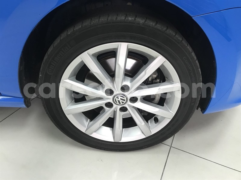 Big with watermark ppolo10