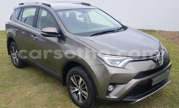 اشتري مستعمل Toyota RAV4 Brown سيارة في Maseru في Maseru اشتري مستعمل Toyota RAV4 Brown سيارة في Maseru في Maseru
