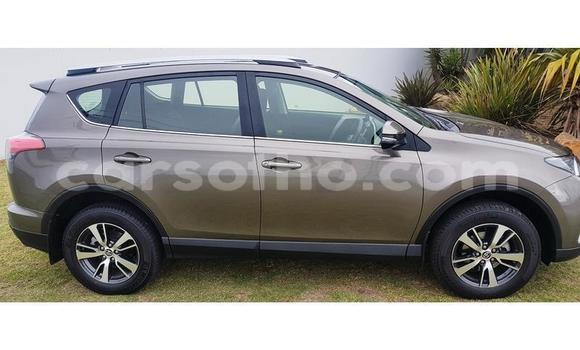 اشتري مستعمل Toyota RAV4 Brown سيارة في Maseru في Maseru اشتري مستعمل Toyota RAV4 Brown سيارة في Maseru في Maseru