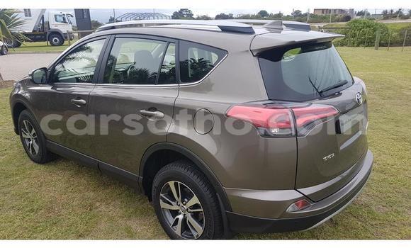 اشتري مستعمل Toyota RAV4 Brown سيارة في Maseru في Maseru اشتري مستعمل Toyota RAV4 Brown سيارة في Maseru في Maseru