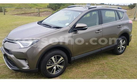 اشتري مستعمل Toyota RAV4 Brown سيارة في Maseru في Maseru اشتري مستعمل Toyota RAV4 Brown سيارة في Maseru في Maseru