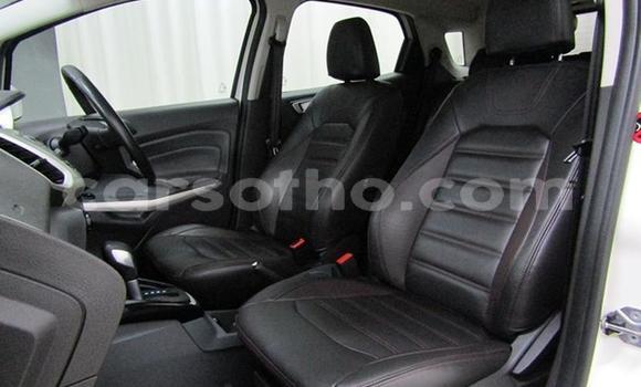 Acheter Occasion Voiture Ford EcoSport Blanc à Maputsoe, Leribe Acheter Occasion Voiture Ford EcoSport Blanc à Maputsoe, Leribe
